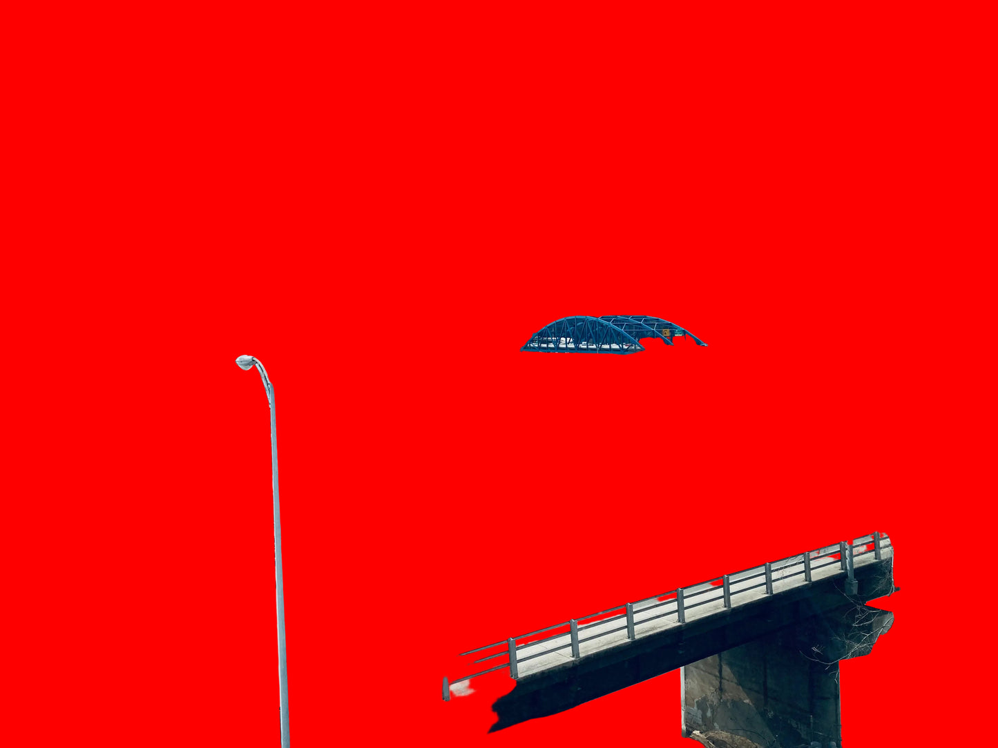 digital photographs