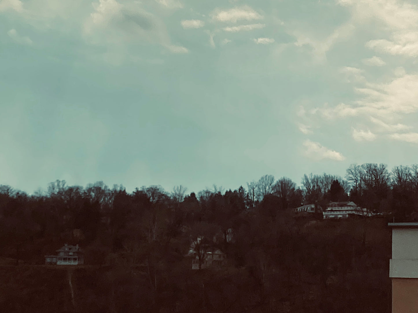 digital photographs
